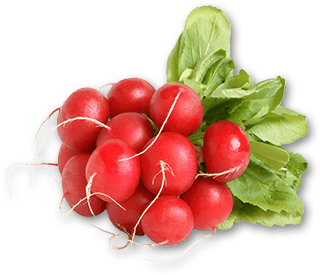 Koszyk warzyw - pomidory