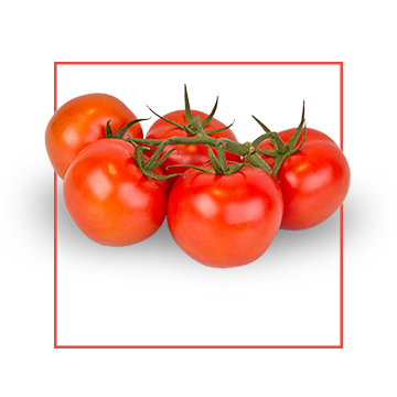 tomatoes-cluster