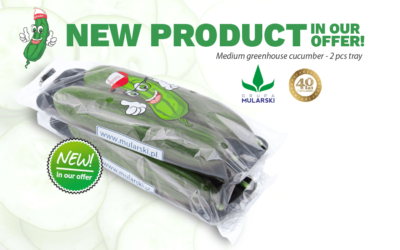 New product: medium greenhouse cucumber