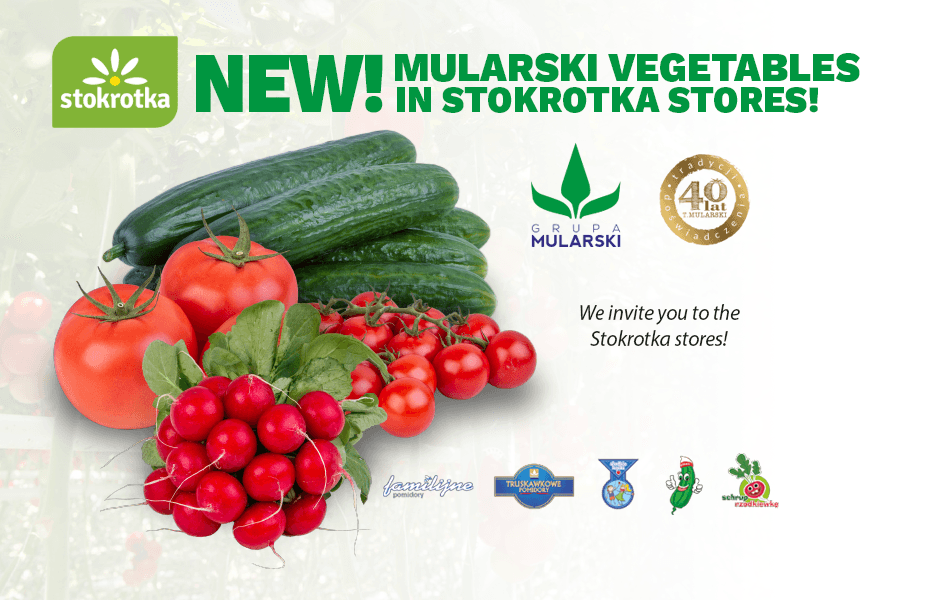 Mularski vegetables in Stokrotka stores!