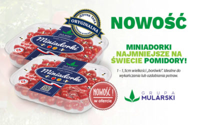 Nowość! Miniadorki, najmniejsze pomidory na świecie.